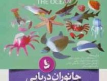 هنر و کاردستی حجم سازی آسان 3 جانوران دریایی