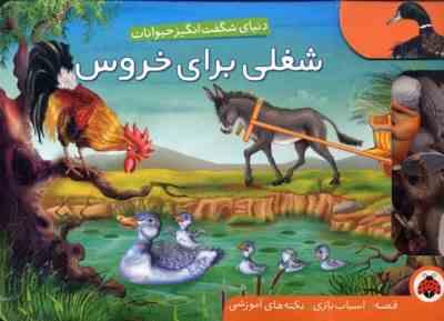 دنیای شگفت انگیز حیوانات شغلی برای خروس