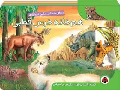 دنیای شگفت انگیز حیوانات هم خانه خرس قطبی