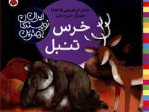 بهترین نویسندگان ایران : خرس تنبل