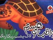 مواظب توهستم لاک پشت رنگارنگم