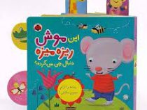 این موش ریزه میزه دنبال چی می گرده؟