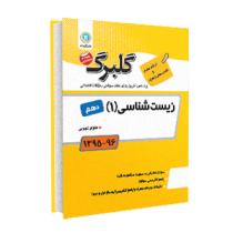 گلبرگ جامعه شناسی 1 دهم 96 95