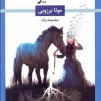 تقدیر مجموعه ترانه (مونا برزویی)