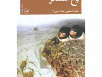 باغ شفتالو (شاه منصور شاه میرزا)