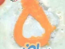 خیلی سبز کتاب کار مفهومی ریاضی پنجم 97 96