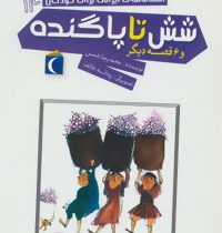 افسانه های ایرانی برای کودکان 14: شش تا پاگنده و 6 قصه دیگر (محمدرضا شمس)