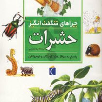 چراهای شگفت انگیز حشرات