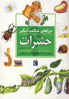 چراهای شگفت انگیز حشرات