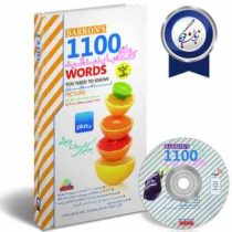 1100 واژه که باید دانست بارونز تصویری (پالتویی)