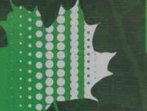 درسنامه جامع فیزیولوژی گیاهی (ویژه آزمون های ورودی کارشناسی ارشد و دکتری تخصصی باغبانی) (حسن قربانی