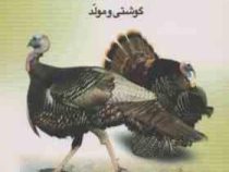 اصول پرورش و نگهداری بوقلمون گوشتی ومولد (مرتضی بیگی)