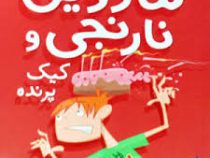 ماروین نارنجی و کیک پرنده 3