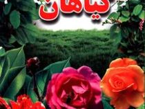 گیاهان (علی ذوالفقاری . لیدا)