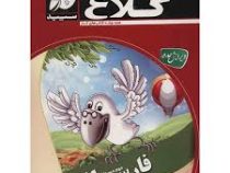 کلاغ سپید کتاب کار فارسی دوم ابتدایی96 95