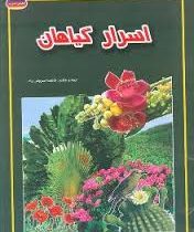 اسرار گیاهان (فاطمه سروش راد . حباب)
