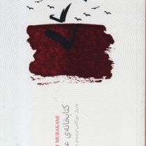 کتابخانه ی عجیب