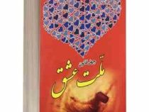 چهل قانون ملت عشق (انیسه رضایی)