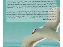 جاناتان مرغ دریایی (ریچارد باخ، مینا دهباشی)