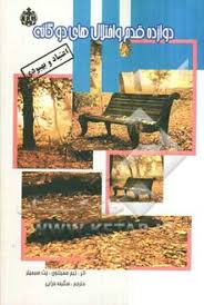 دوازده قدم و اختلال های دوگانه : اعتیاد و بهبودی ( تیم همیلتون ، پت سیمپلز . سکینه خزایی )