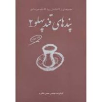 پندهای قند پهلو 2 : مجموعه ای از 62 داستان زیبا و نکته عبرت آموز(حسین شکرریز)