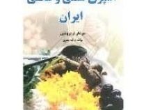 آشپزی سنتی و محلی ایران