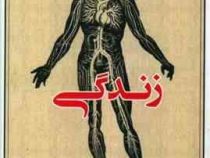 زندگی (داوید واگنر . منصوره کریمی طینت)