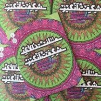 ماندالای شگفت انگیز (هنر درمانی رنگ آمیزی سحر آمیز)