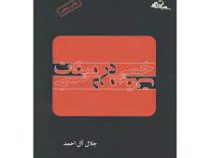 خسی در میقات (جلال آل احمد)
