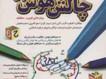 چالش هوش 3 سخت