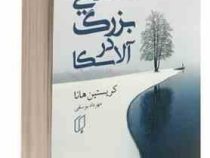 تنهایی بزرگ در آلاسکا (کریستین هانا . مهرداد یوسفی)