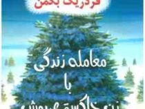 معامله زندگی با زن خاکستری پوش (فردریک بکمن عرفان بنداد)