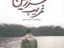 سفر به سرزمین غریب (دیوید پارک ، فریده خرمی)