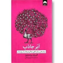 ابر جاذب : روش هایی برای تجلی زندگی ای فراتر از رویایتان (گبریل برنستین . سارا پرویزخانی)