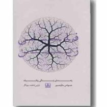 فلسفی زیستن : راهنمای زندگی رواقیانه (جوناس سالزجیبر . فاطمه سوداگر)