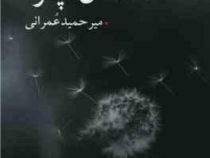مامان ، پر ! (میر حمید عمرانی)