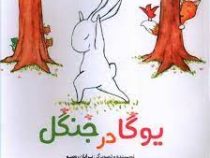 یوگا در جنگل (برایان روسو . میترا نوحی جهرمی)