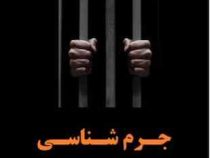 جرم شناسی (دکتر علی نجفی توانا)