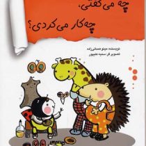 چه می گفتی، چه کار می کردی؟ (مینو همدانی زاده)