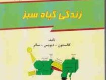 زندگی گیاه سبز