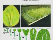 فیزیولوژی گیاهی 2 : زیست شناسی تکوینی (حسن ابراهیم زاده)