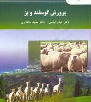 پرورش گوسفند و بز