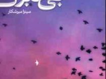 بی خبری (میلان کوندرا میترا میرشکار)