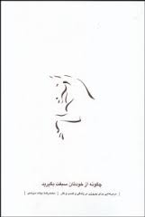 چگونه از خودتان سبقت بگیرید : درس هایی برای پیروزی در زندگی و کسب و کار ( محمد رضا بیات سرمدی )