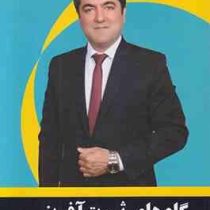 گام های ثروت آفرینی ( علی شاه حسینی )