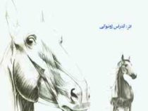 مدرسه طراحی آناتومی (آناتومی حیوانات 1 ) جلد دوم، (آندراس ژونیوکی)