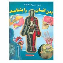 بدن انسان را بشناسید همراه با ماکت بدن انسان سی دی (رحلی،پیام آزادی)