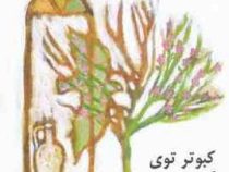 کبوتر توی کوزه (هوشنگ مرادی کرمانی)