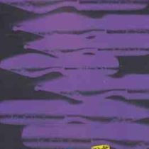 تاریخچه نقد ادبی (ورنون هال . احمد همتی)