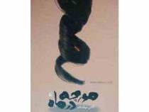 مورچه در ماه (لادن نیک نام)